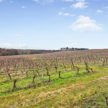 In With Wifi 別荘 Schenkendöbern